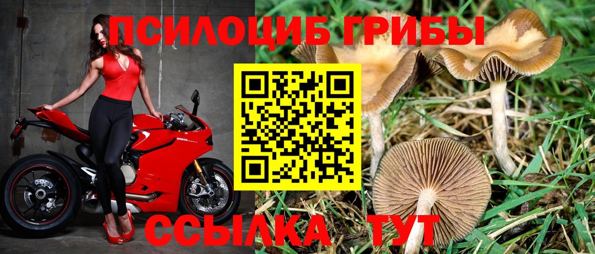 Галлюциногенные грибы мухоморы  Вход с VPN  Иваново 